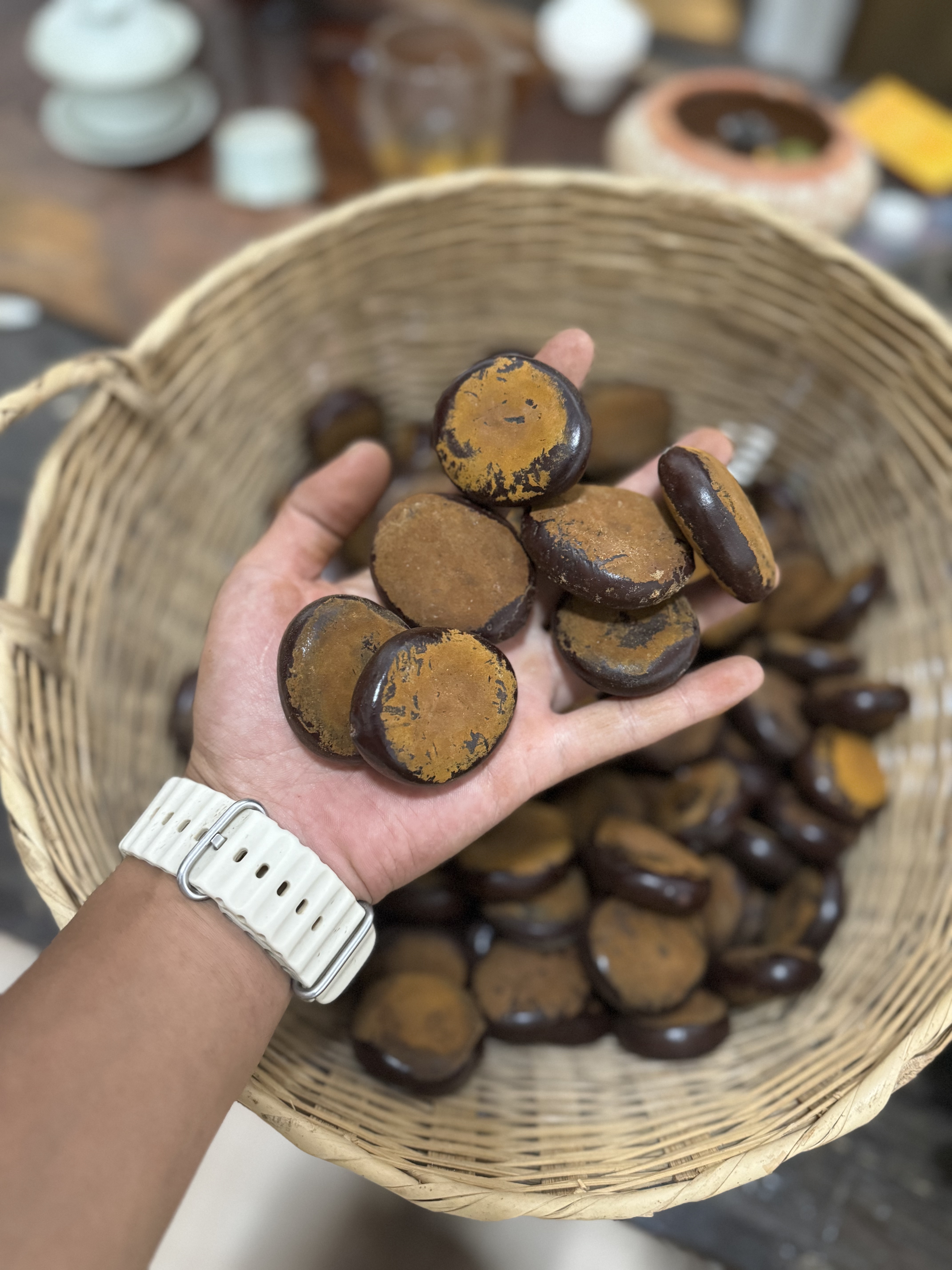 西双版纳大豆荚籽 过江龙籽 磕藤豆籽 平安豆 木腰子