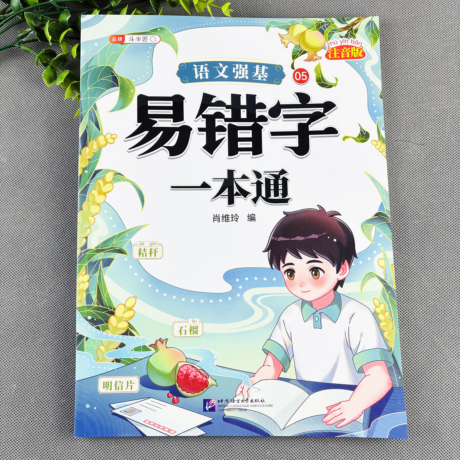 小学生易错字一本通小学生易错字专项练习册小学生易错字大全