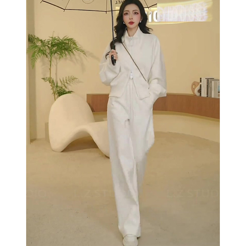 时尚洋气纯色套装女2025秋季高级感立领拉链运动服外套裤子两件套