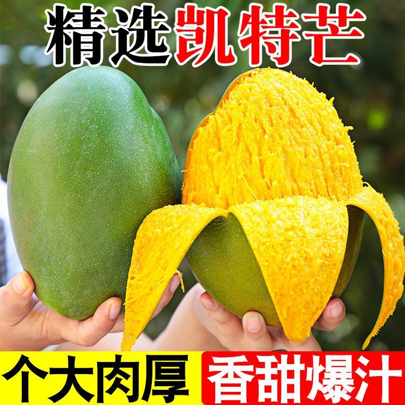 【正宗凯特芒】新鲜凯特芒青皮凯特大芒果香甜软糯多汁当季现摘
