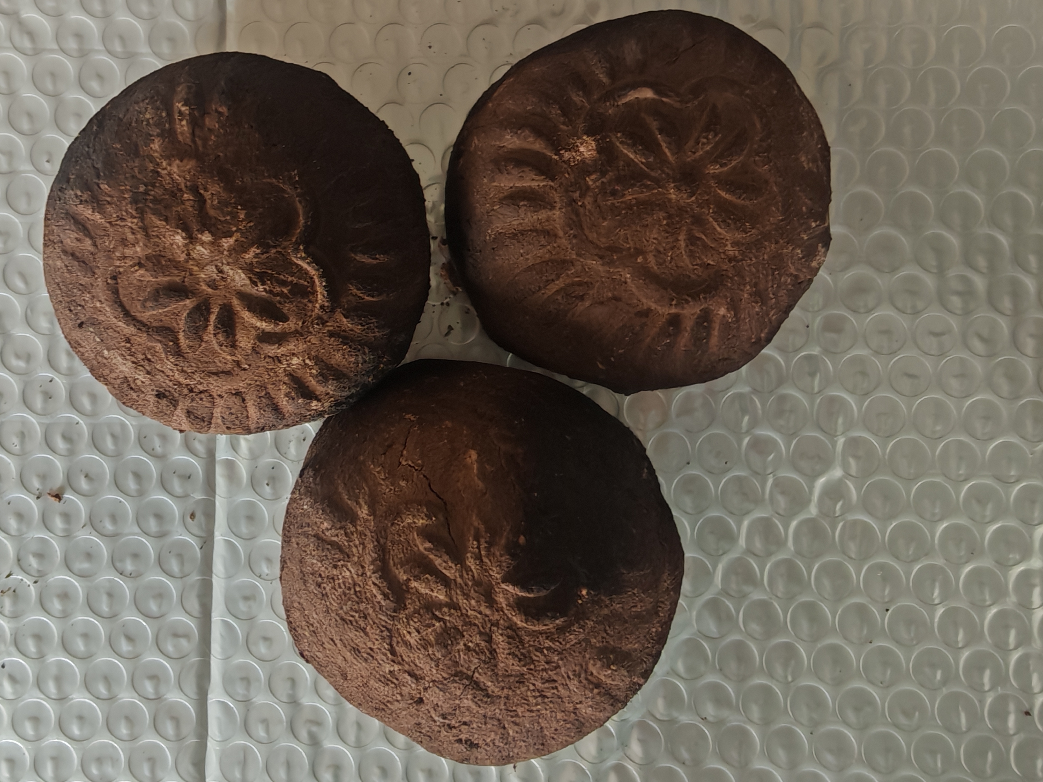 烟熏营养土网红小包子造型（真的土）