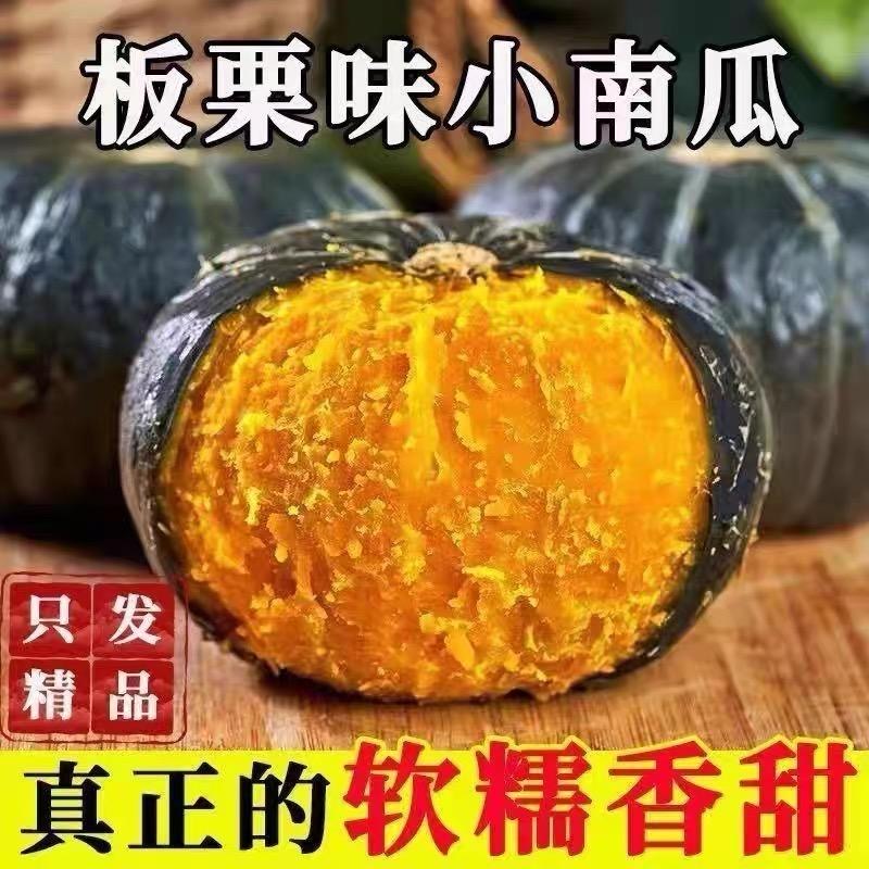 正宗贝贝南瓜板栗味粉糯甜新鲜山东宝宝婴儿小老瓜真产地直发现摘