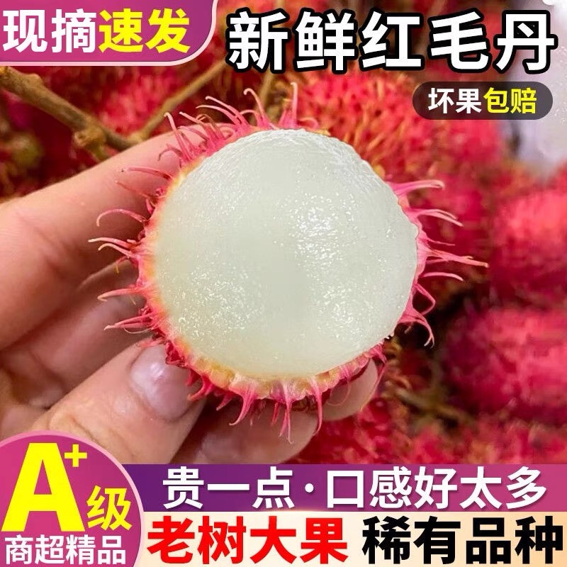 【冷链包邮】泰国老树红毛丹甄选精品当季热带水果新鲜采摘坏果包赔