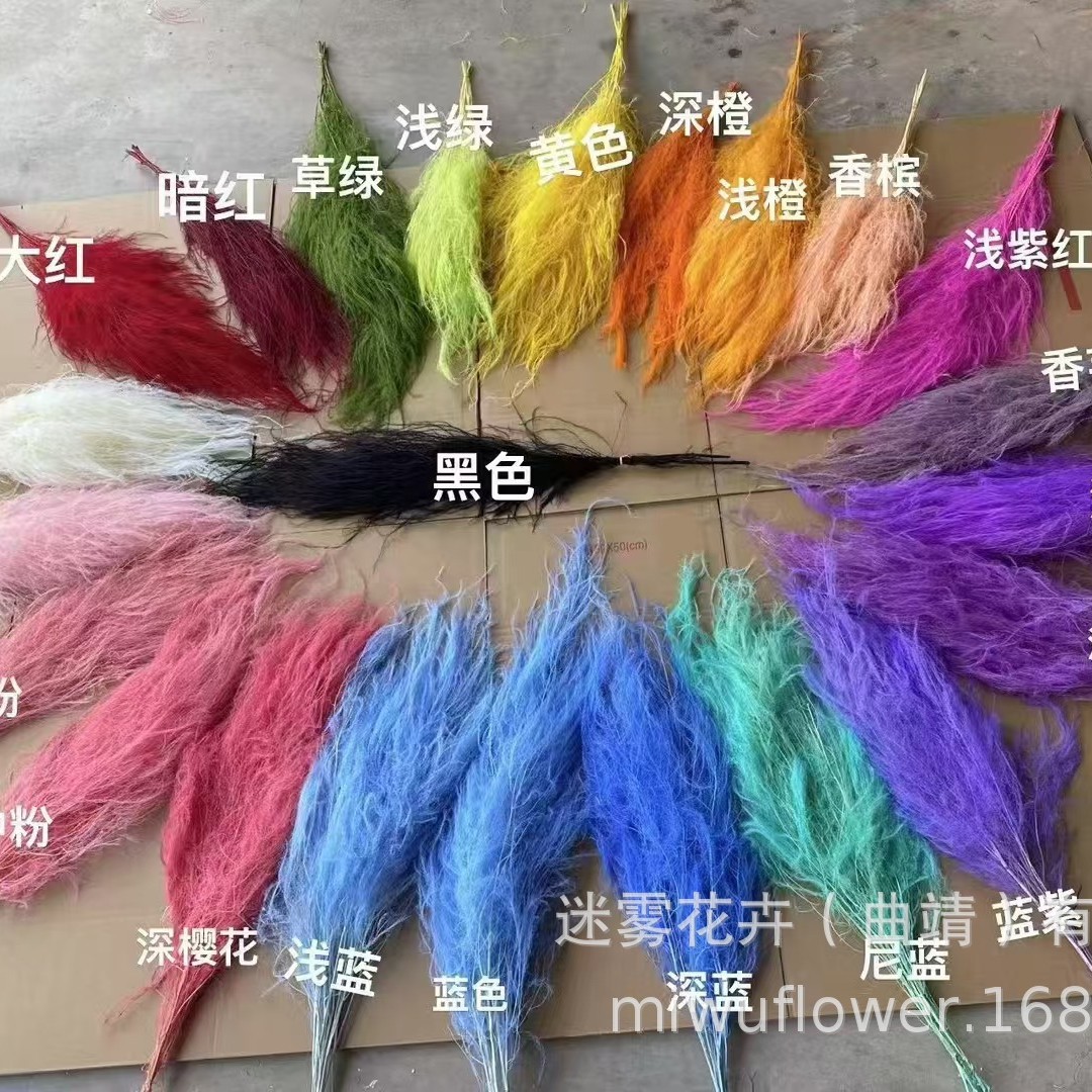 永生花干花梦幻羽毛草龙须草长毛草吊米婚庆装饰软装花艺悬挂干花
