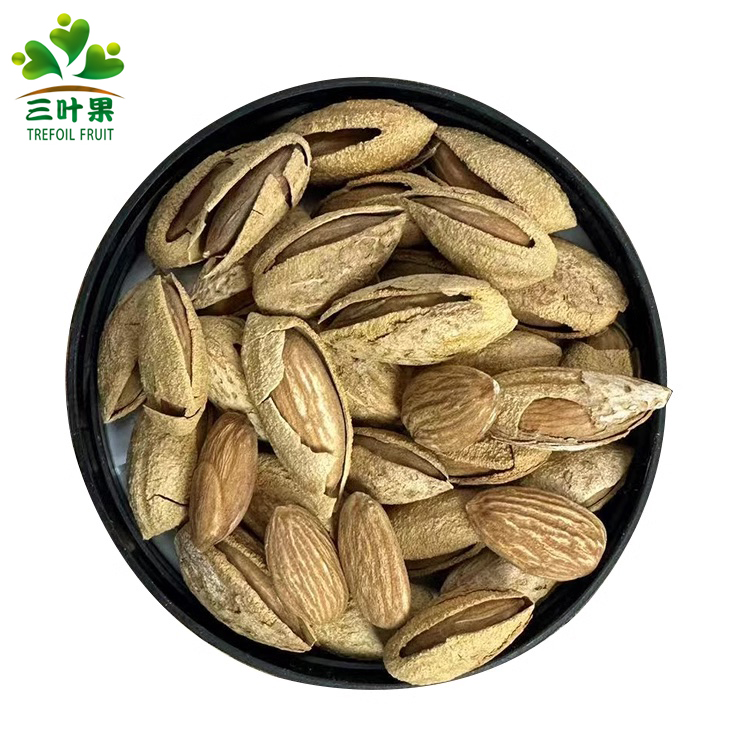 三叶果新疆原味干炒纸皮巴旦木1斤/2斤
