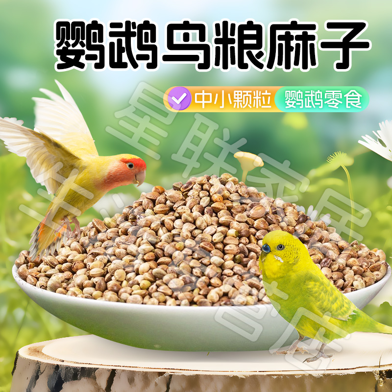【宠大条】新火麻仁鹦鹉鸟粮纸壳火麻子鸟类粮饲料奖励零食鸟食