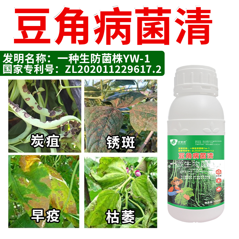 豆角病菌清国家专利生防菌技术豆角锈斑炭疽青枯清菌广微生物菌剂