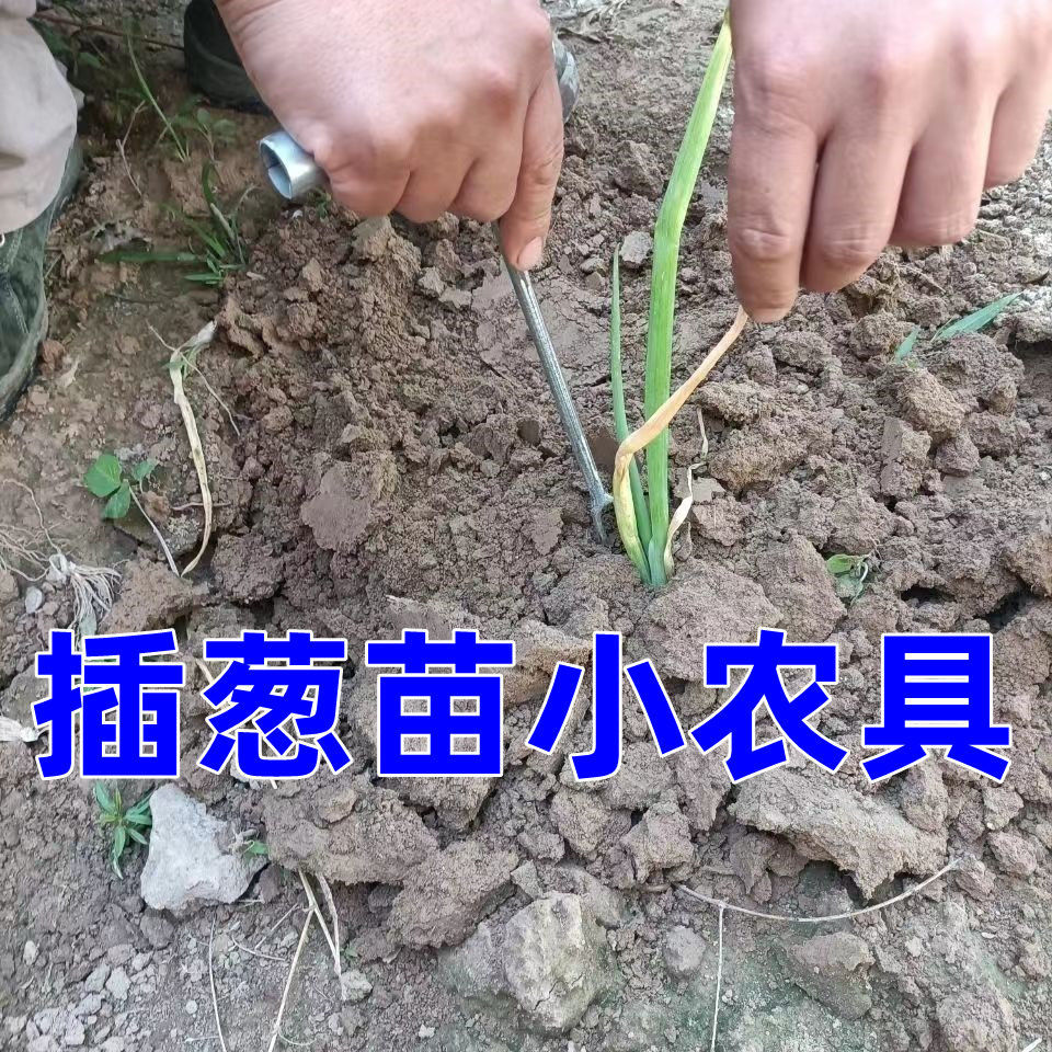 栽葱栽葱农具大葱插苗器插葱苗葱叉子.