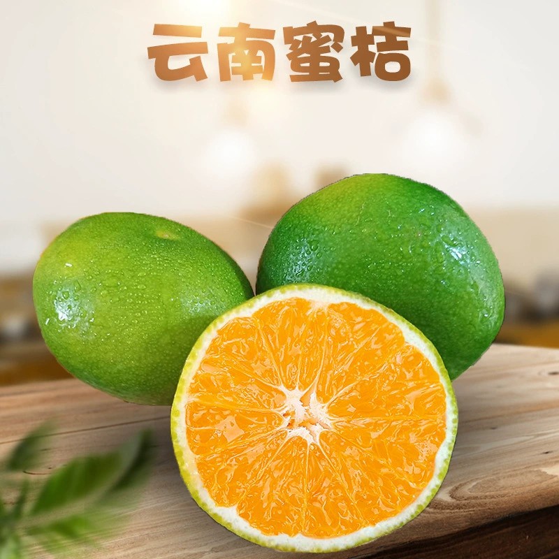 【新果】云南蜜橘新鲜酸甜青皮蜜桔绿皮桔子当季孕妇水果现摘果园发