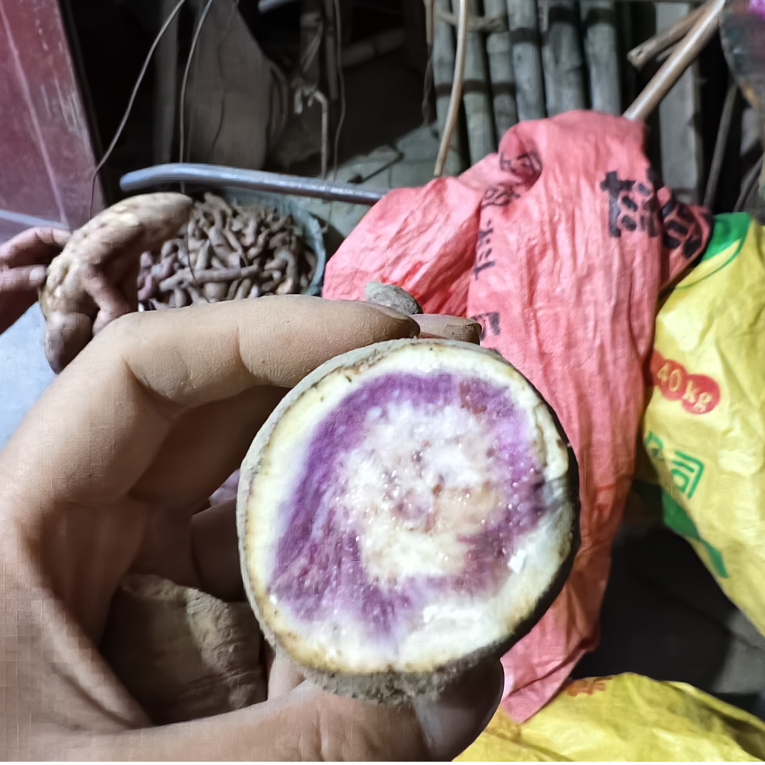 广西玉林农村花心蕃薯种植粉糯香甜新鲜健康代餐粗粮