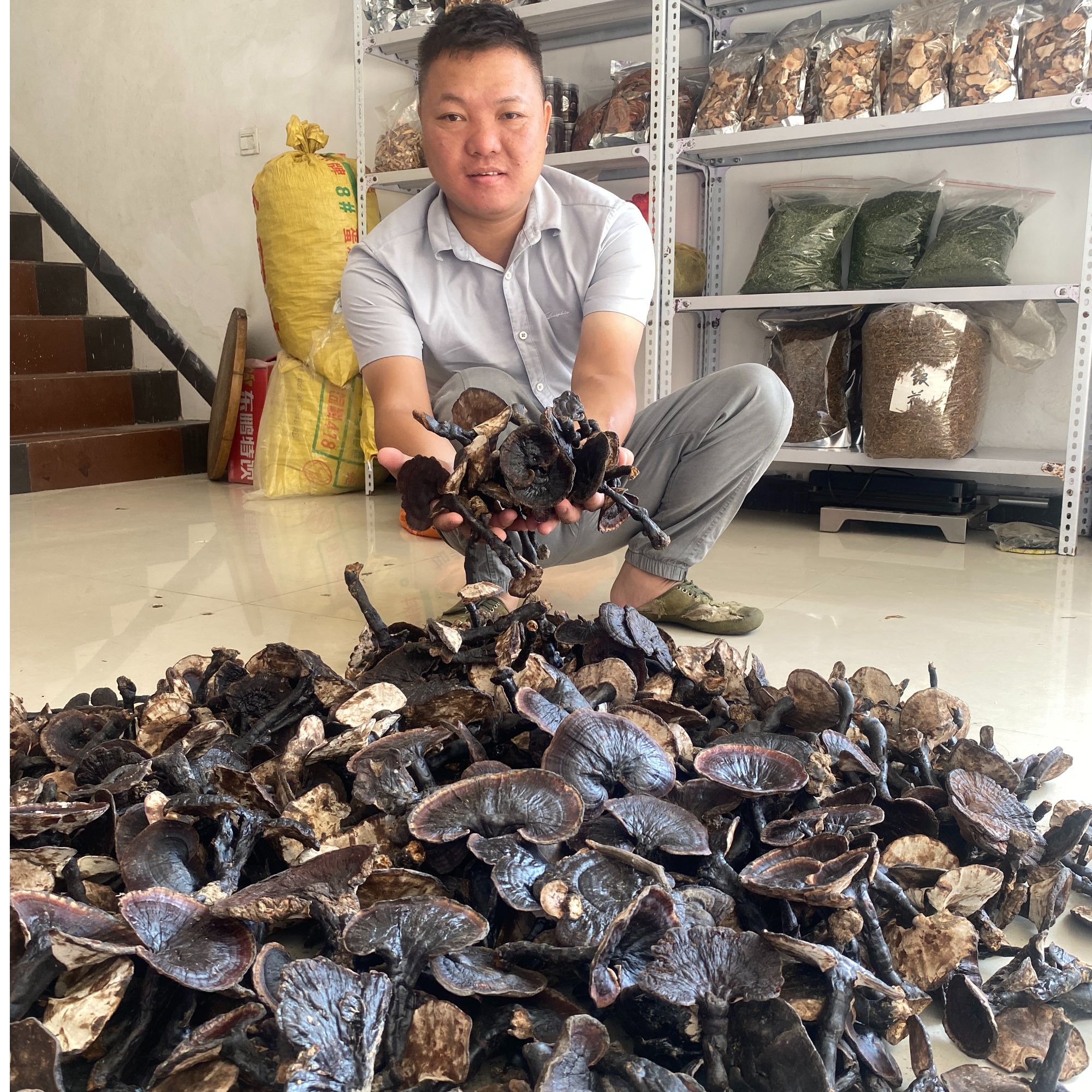 广西深山野生灵芝干货正宗正品香浓野生紫灵芝切片可泡酒黑灵芝