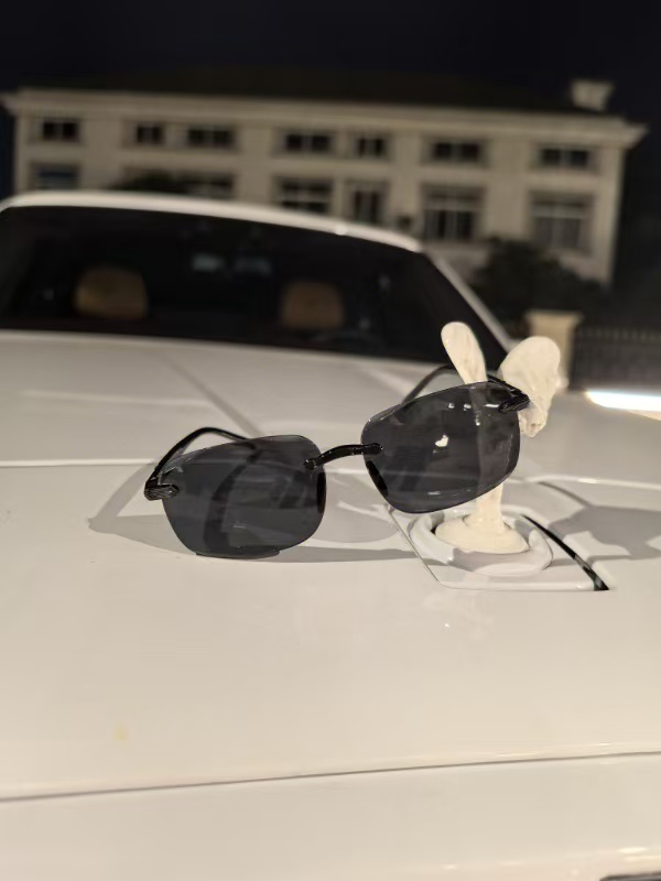 新款高颜值养眼太阳镜驾车个人用品SSSSS