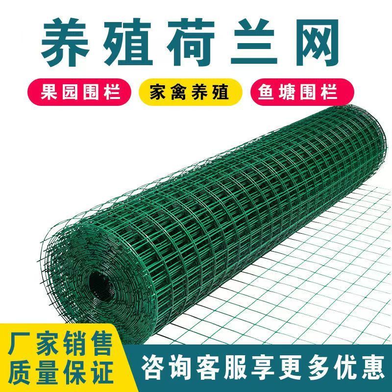 荷兰网防锈铁丝网围栏养殖网家用养鸡网拦鸡网护栏网围栏铁网格网