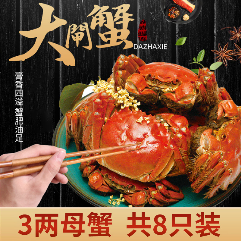 【活蟹】莘森大闸蟹 母蟹3.0两 8只装 鲜活发货 精品大闸蟹