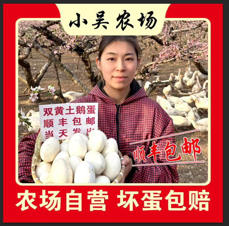 《小吴农场》农家现捡现发新鲜双黄土鹅蛋一箱12个单个均新鲜大鹅蛋