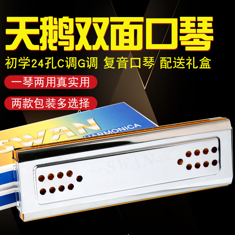 天鹅口琴24孔C调G调双面复音口琴初学成人自学练习演奏双调口吹琴