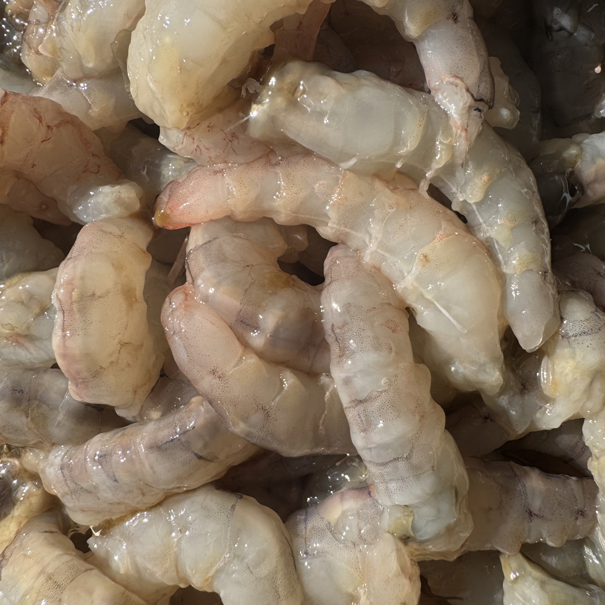 顺丰青岛田横发货  野生蛎虾虾仁        小虾仁250克