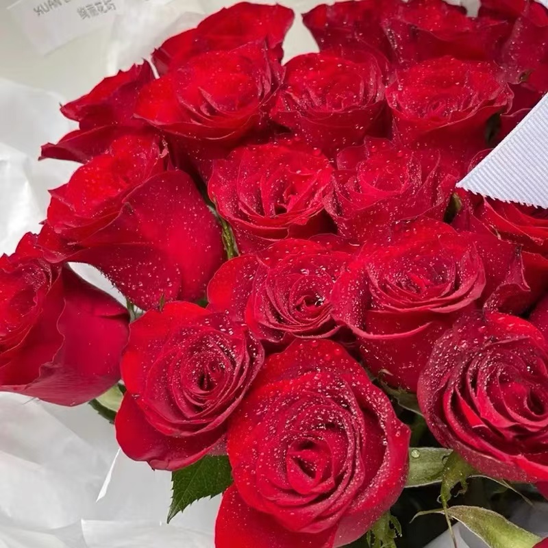 顺丰一单包邮A级高原红玫瑰花 结婚婚庆婚礼节日生日红色玫瑰花