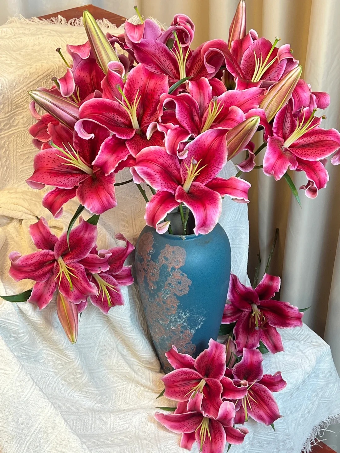 【源头优选】黑美人百合花云南直发鲜花家居水养插花鲜切花