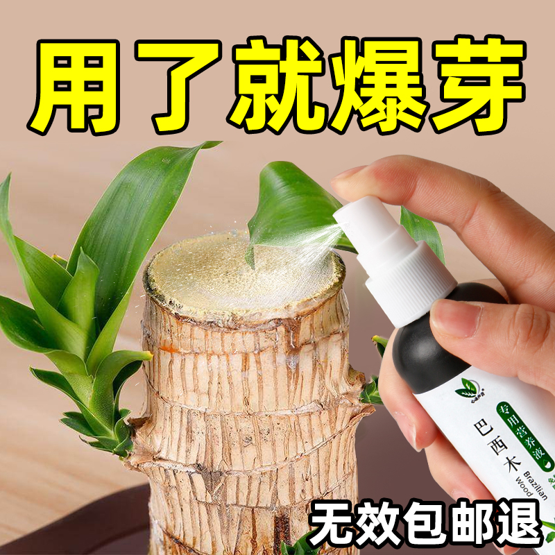 CPAI水培巴西木营养液幸运木巴旦木专用肥料养绿植花肥植物通用型