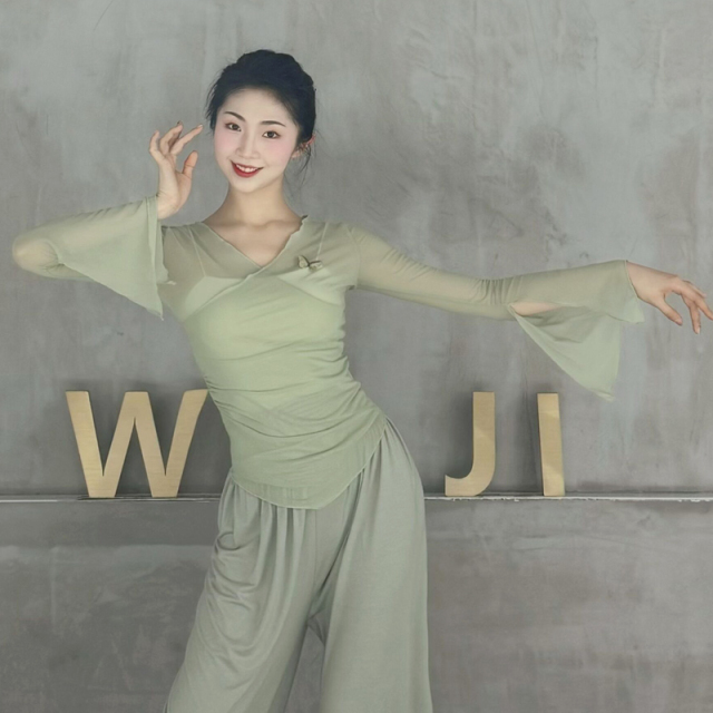 古典舞身韵纱衣蝴蝶网纱上衣练功服舞蹈老师上课服中国民族舞服装