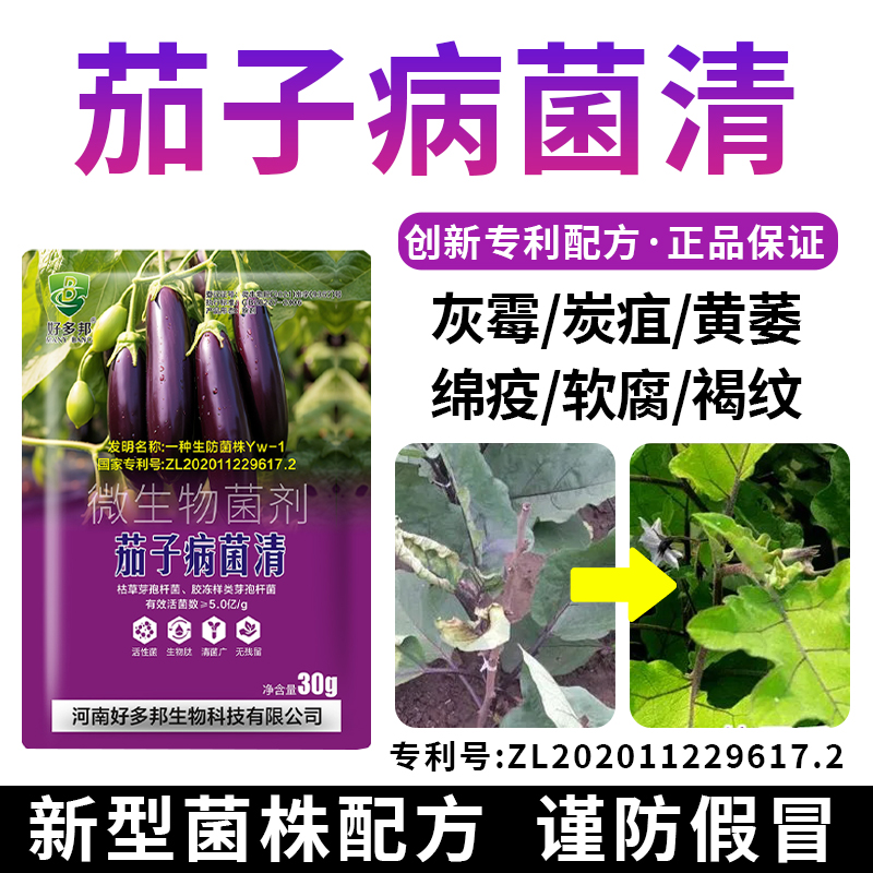 茄子病菌清茄子黄萎炭疽软腐灰霉卷叶正品专国家利配方微生物菌剂
