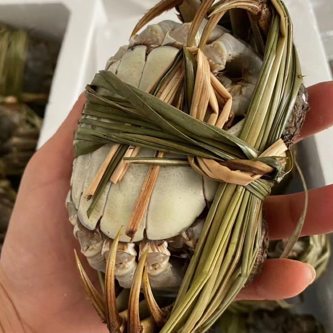 活蟹-微山湖区-母蟹-1.8一2两-10只-礼盒装-顺丰包邮