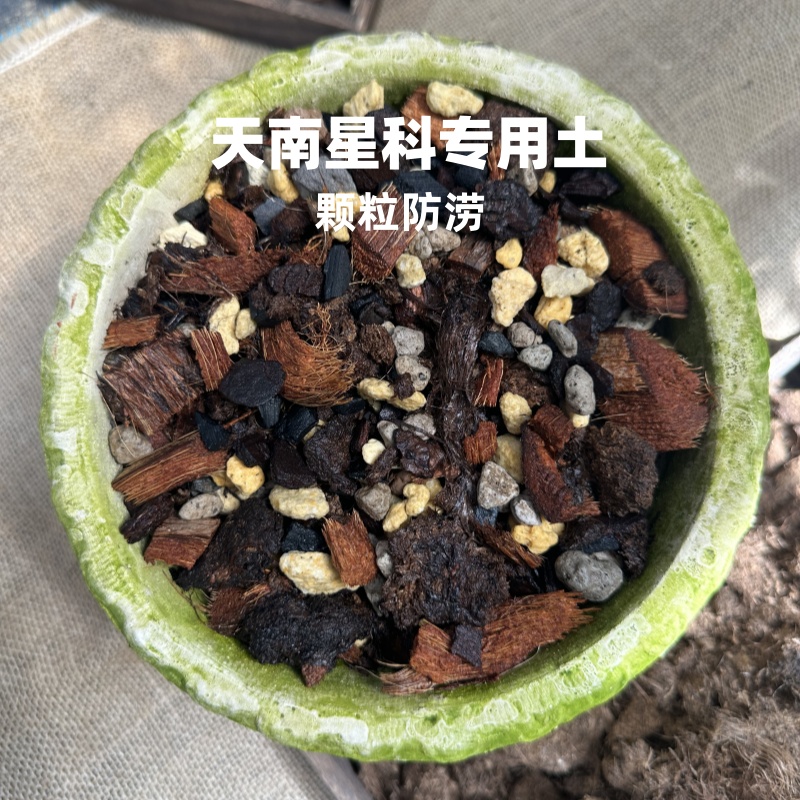 云梦花园 天南星科土 蔓绿绒海芋热植热带植物土粗颗粒有机种植土