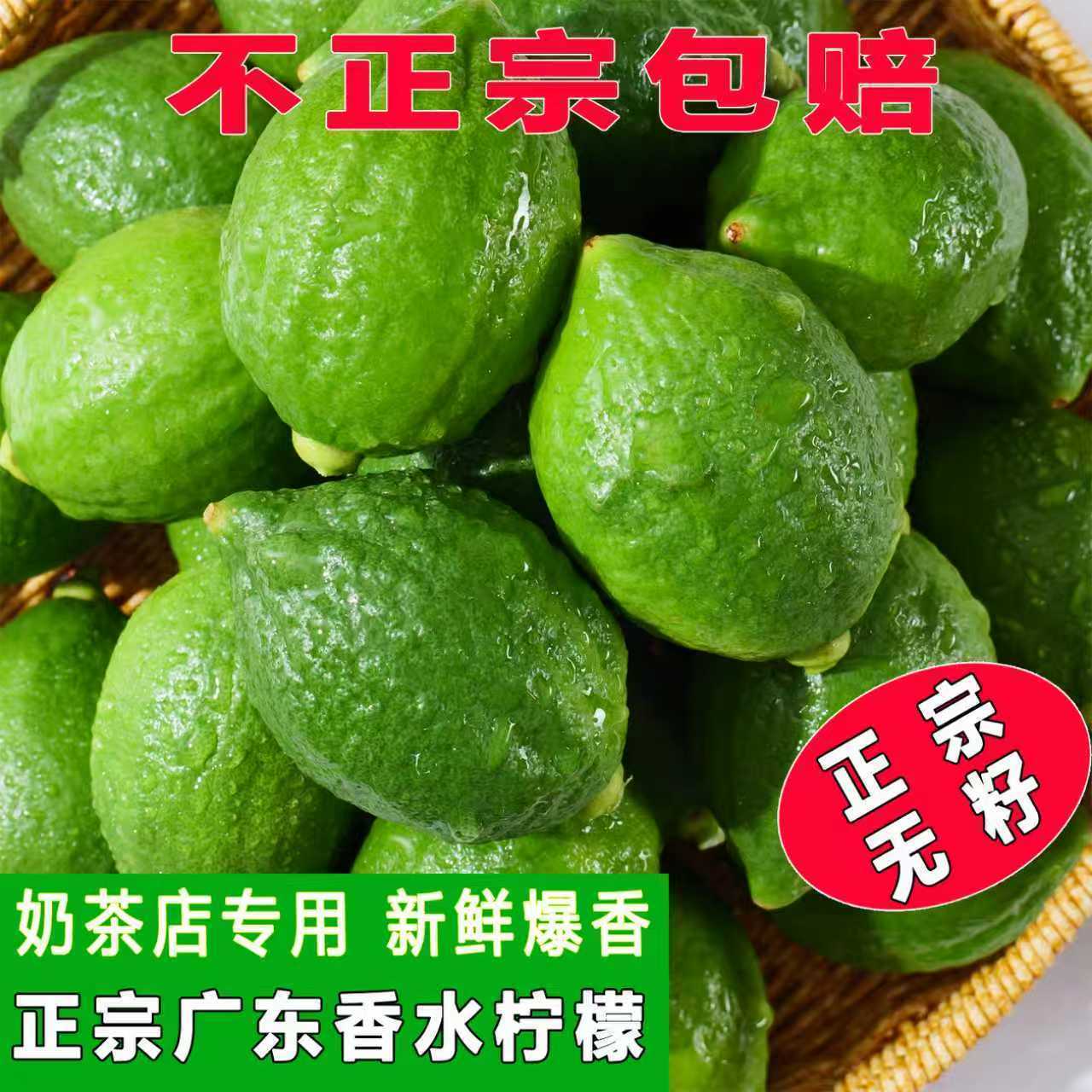 广东香水柠檬新鲜现摘无籽多汁一级果奶茶店专用