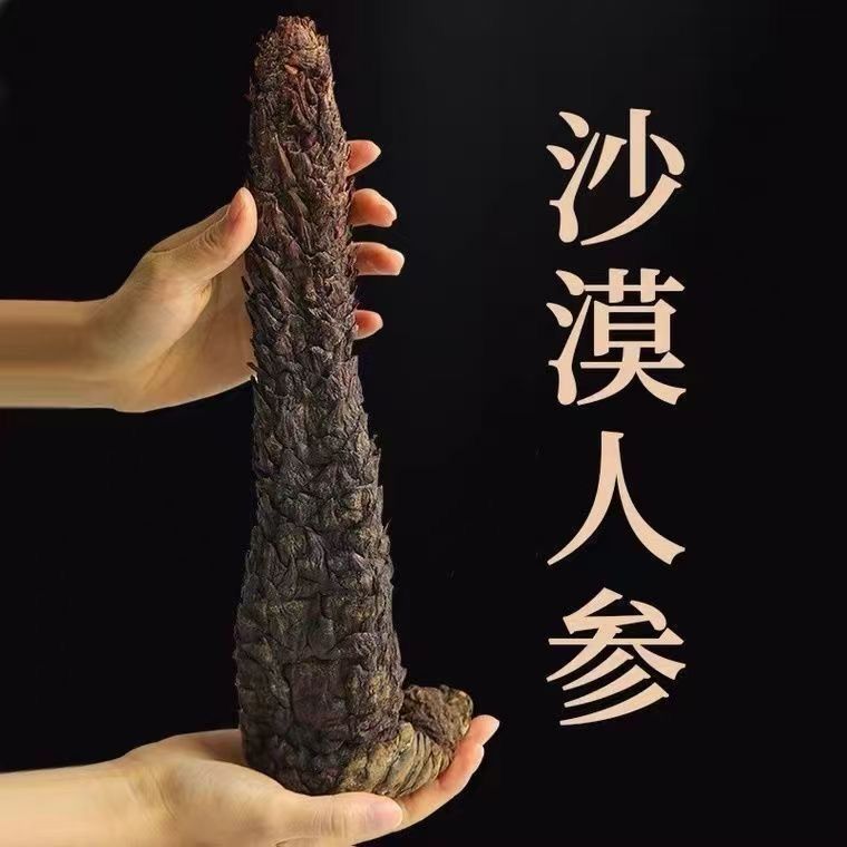 现泽堂肉苁蓉内蒙阿拉善油苁蓉整根软大芸油从蓉切片泡水煲汤泡酒