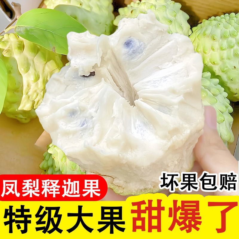 【顺丰包邮】凤梨释迦果林檎番荔枝牛奶释迦水果（成熟前都会开裂）