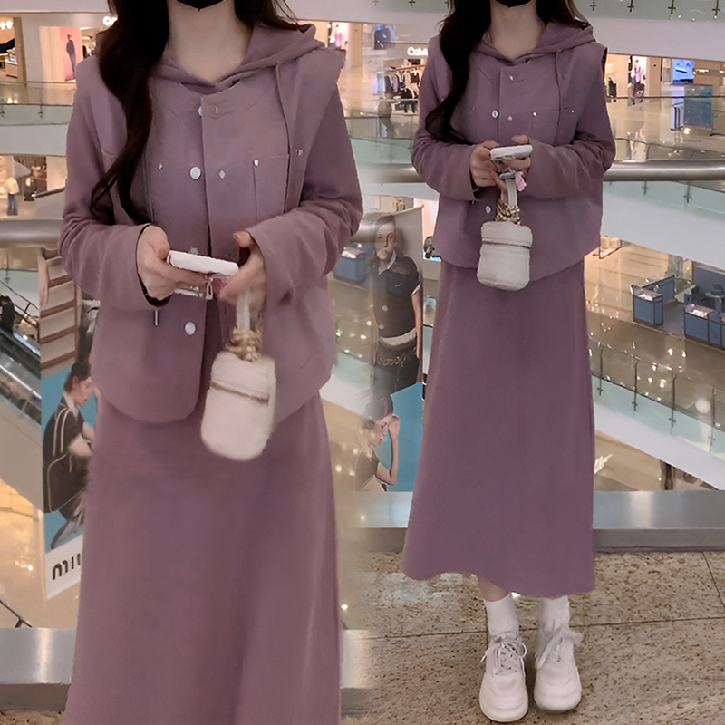 韩系休闲连衣裙套装女2025春秋新款设计感马甲减龄卫衣裙两件套