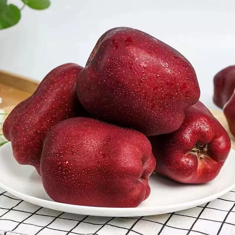 甘肃高山花牛苹果香甜多汁脆粉两吃当季新鲜水果宝宝辅食包邮