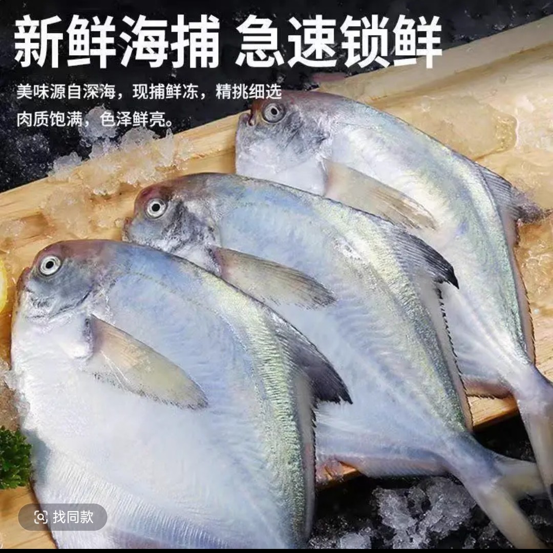 开海新货野生银鲳鱼一斤5条发4斤无冰衣平鱼山东渔港码头顺丰包邮