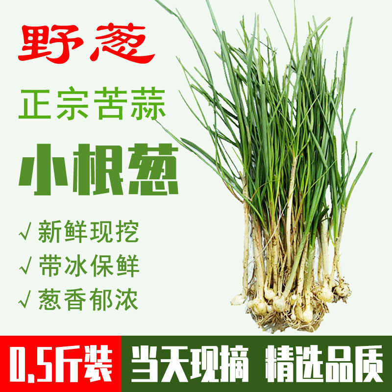 贵州苦蒜四川湖南新鲜现挖野葱小根蒜胡葱可作下饭菜的野菜小根葱