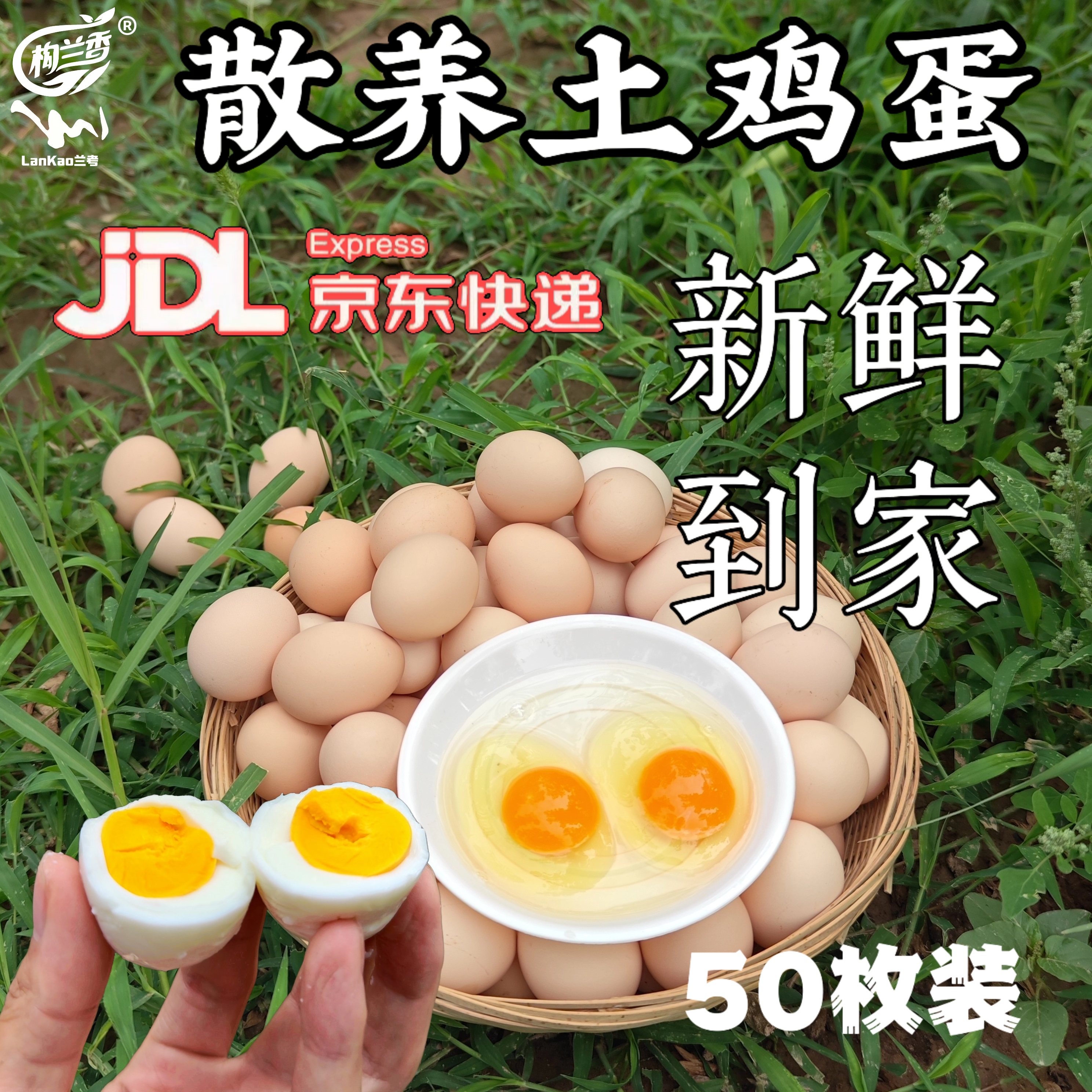 50枚散养土鸡蛋农家散养柴鸡蛋新鲜营养无抗自然兰考黄河滩虫叶蛋