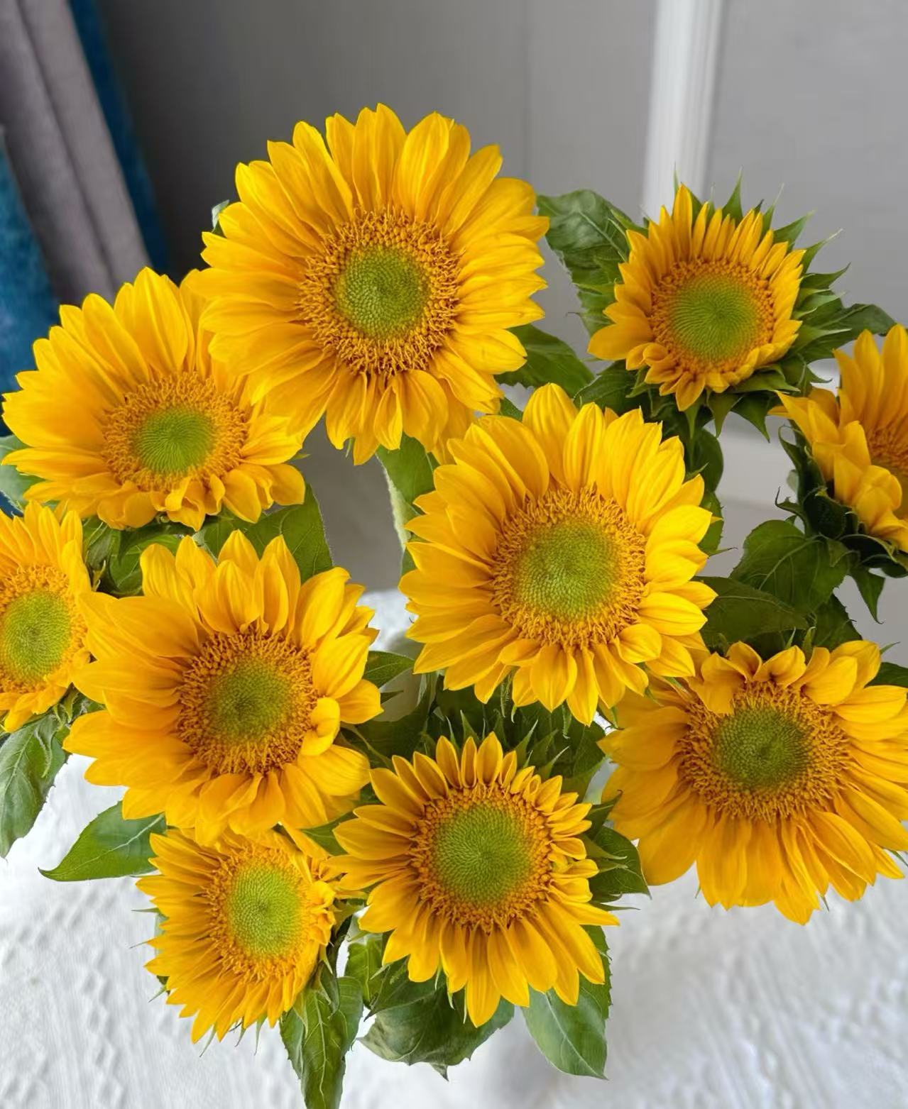 A级mini绿心向日葵-云南直发家庭养护生活鲜切花顺丰包邮