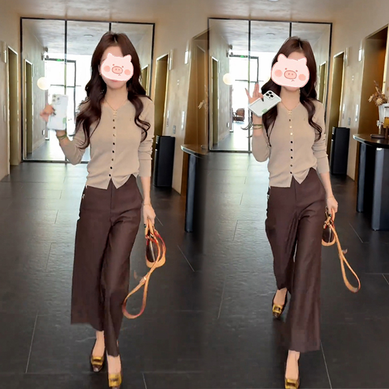 大方得体穿搭一整套时尚百搭上衣长袖搭配遮肉显瘦直筒裤两件套女