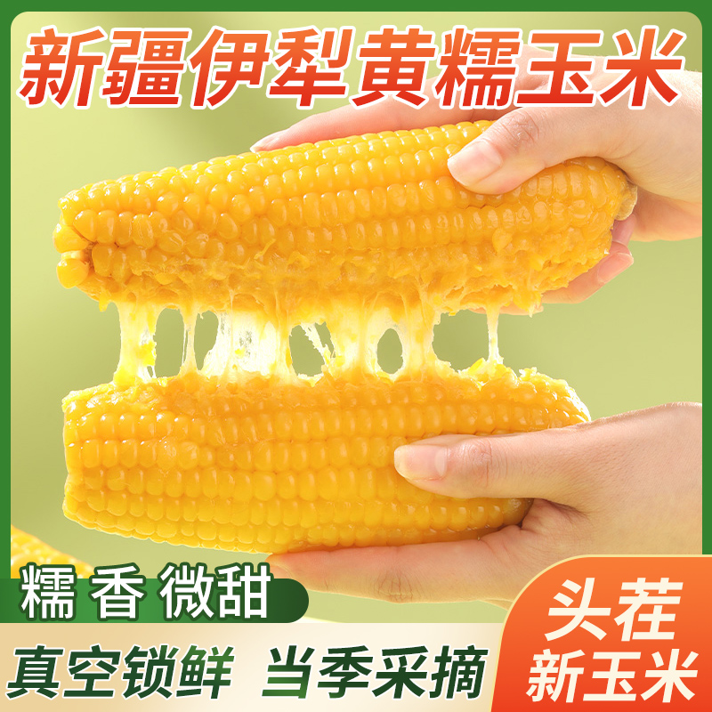 【2025新货】新疆伊犁黄糯玉米微甜软糯220g*8根真空包装非转基因