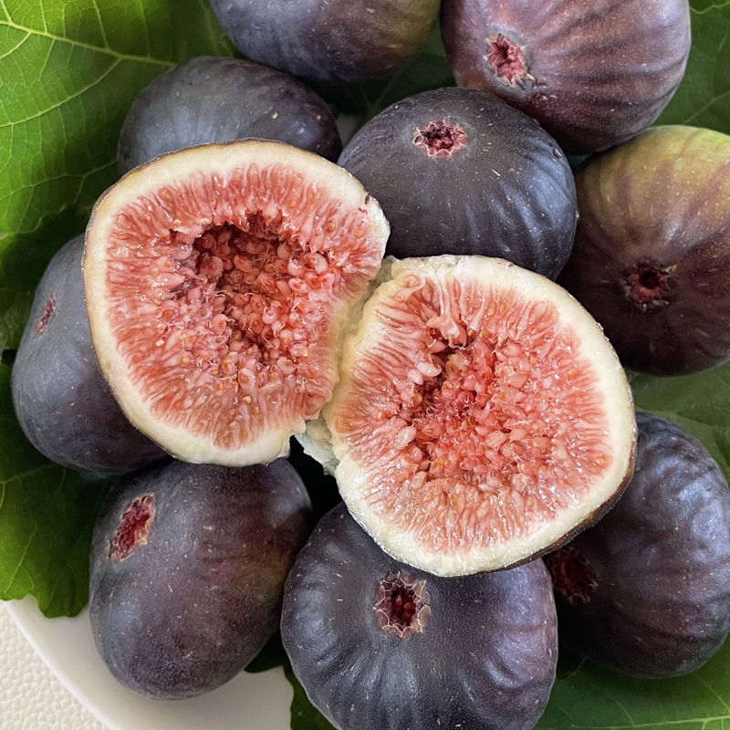 无花果新鲜云南农家应季时令水果孕妇鲜果老树现摘123斤顺丰包邮