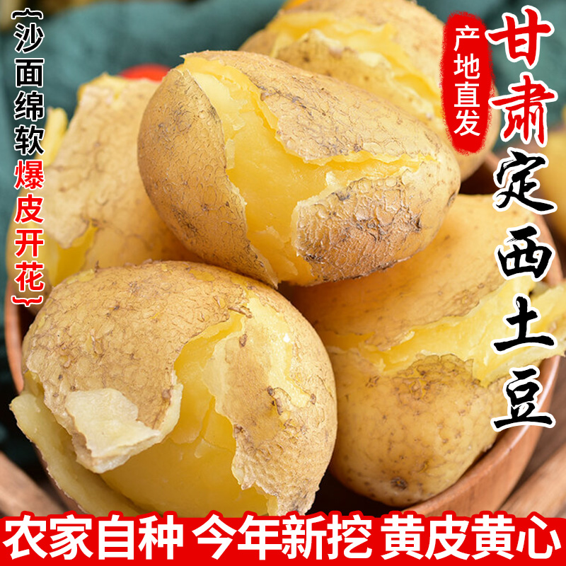 【定西土豆】甘肃高山黄皮黄心土豆哥粉面沙土豆粉面土豆好吃包邮