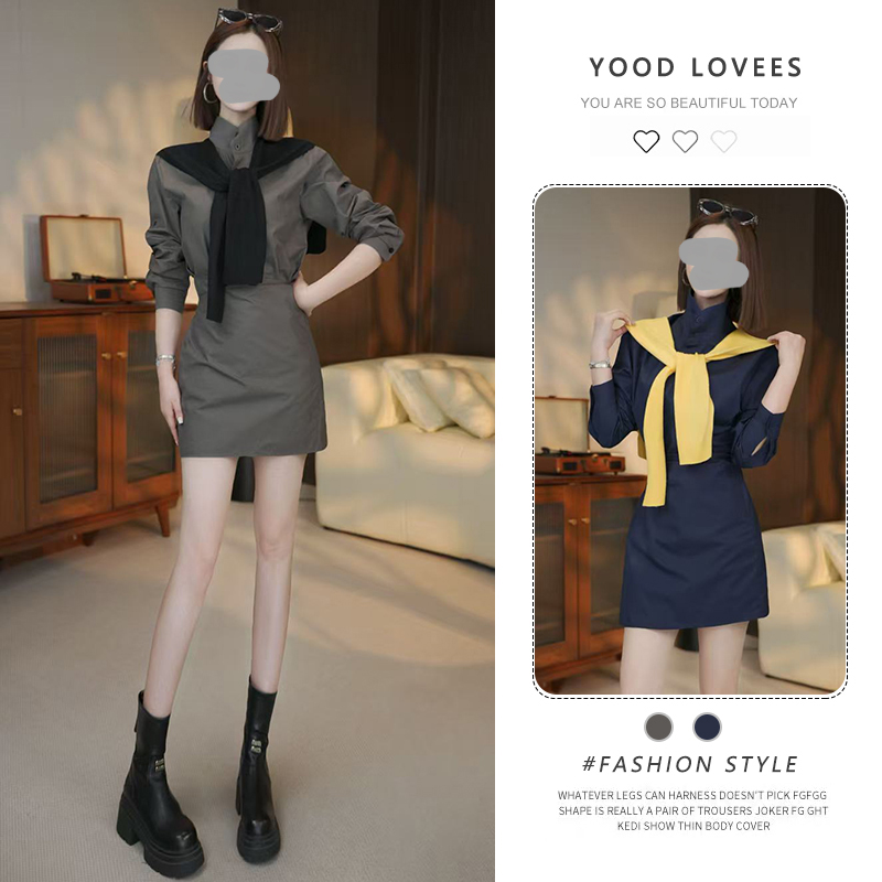 法式气质通勤立领披肩衬衫连衣裙2026春秋新款休闲收腰一片式短裙