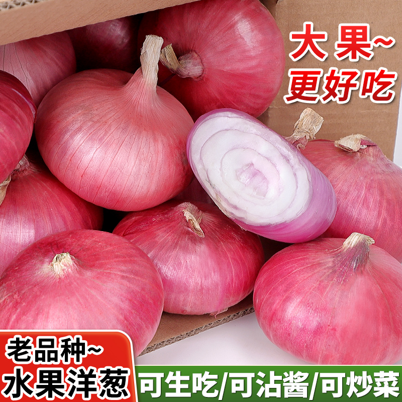 (大果)扁洋葱新鲜小洋葱圆葱现挖记录现挖水果洋葱5斤生鲜装日本
