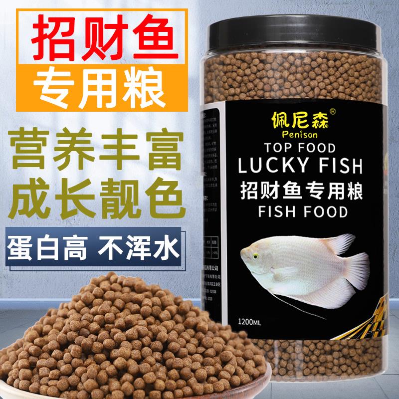 招财鱼饲料专用鱼食烂身地图鱼白战船鱼热带观赏鱼发财鱼鱼粮食防