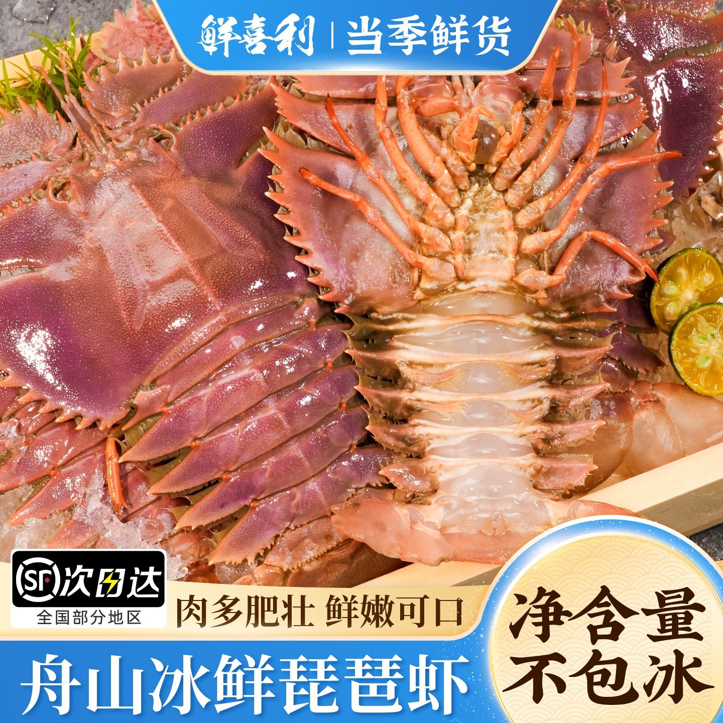 舟山琵琶虾船冻冰鲜九齿扇虾海鲜虾姑特大濑尿虾生鲜深海冷冻爬虾