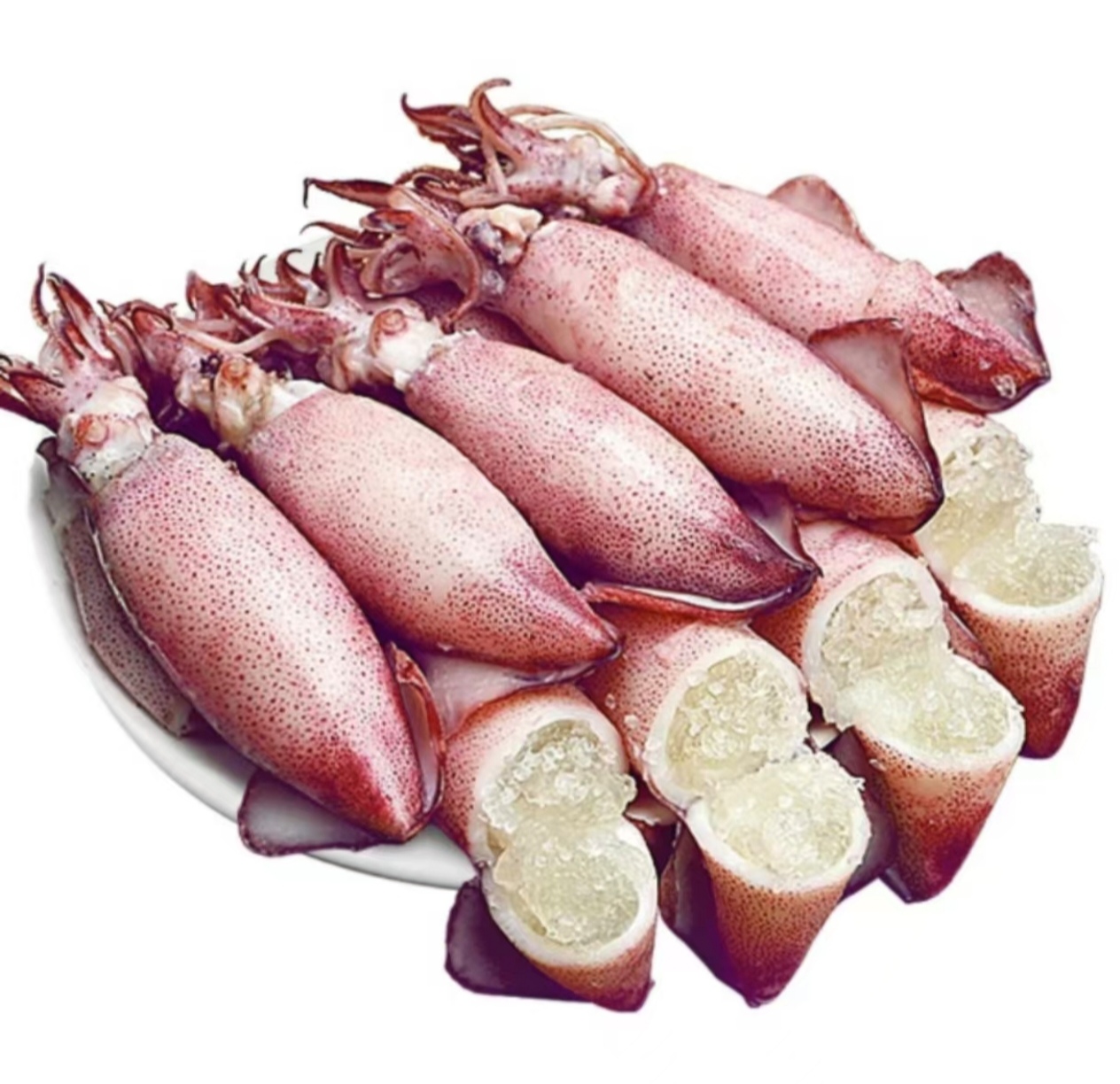 籽乌 海兔 满籽满膏 10头/400克/包 无泥无沙  送料包