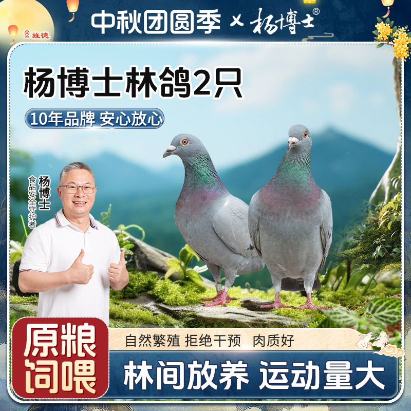【杨博士林鸽】杨博士皖南散养鸽子现杀新鲜原粮饲喂煲汤营养丰富