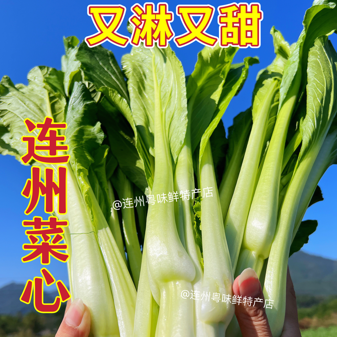 【顺丰包邮】连州迟菜心青菜大白菜又淋又甜新鲜