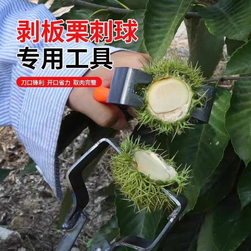 剥板栗刺球神器栗子外壳夹子板栗神器栗子去栗子外壳神器板栗