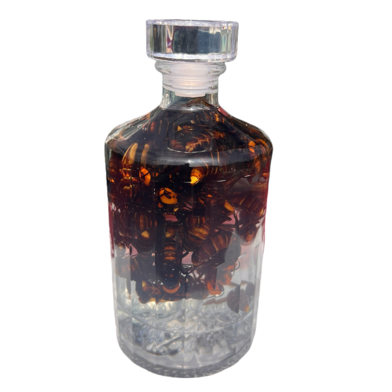 活泡老蜂大金环大黑尾诱蜂液有蜂才真材实料请勿直接食用